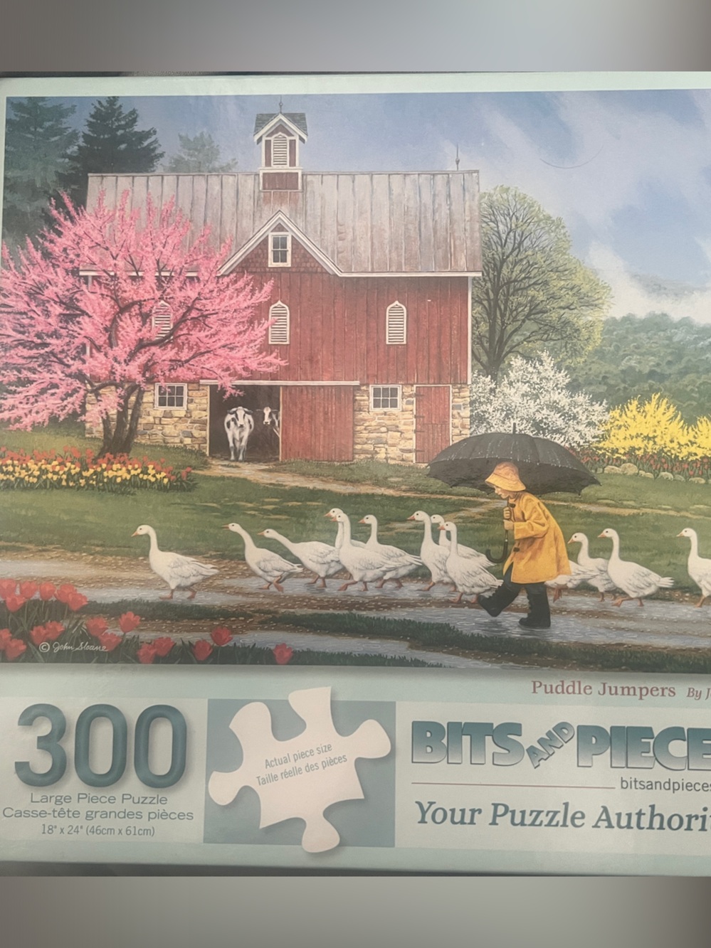 Bits and Pieces 300-Piece Puddle Jumpers Jigsaw Puzzle - Multicolor
